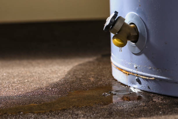 Best Professional water damage repair  in Porterdale, GA
