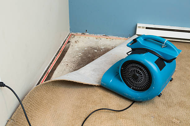 Best Water damage contractors near me  in Porterdale, GA